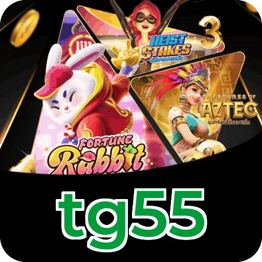 Vantagens exclusivas tg55 para jogadores brasileiros - São Paulo, Rio, BH